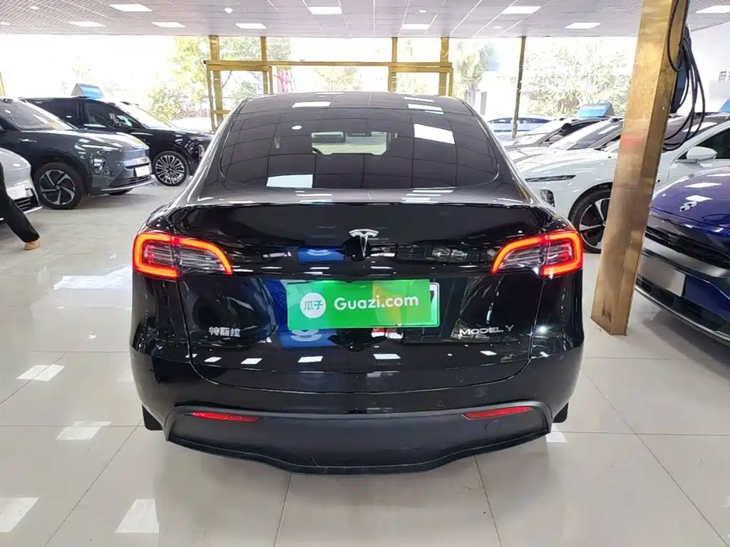 Tesla Model Y — миниатюра 6