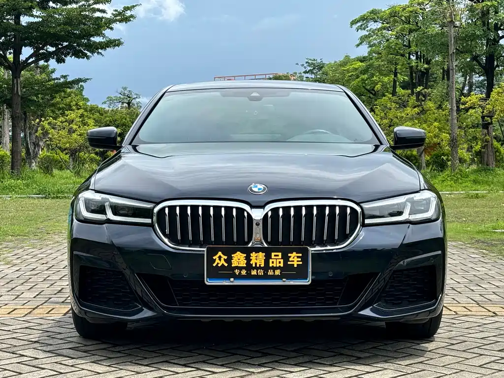 BMW 5 Series 5 2022 530Li Premium M Sport