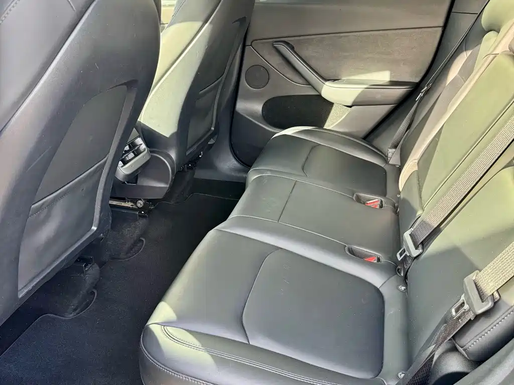 Tesla Model Y — миниатюра 10