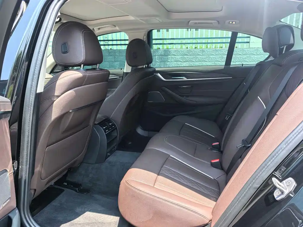BMW 5 Series 5 2023 530Li Lead Luxury