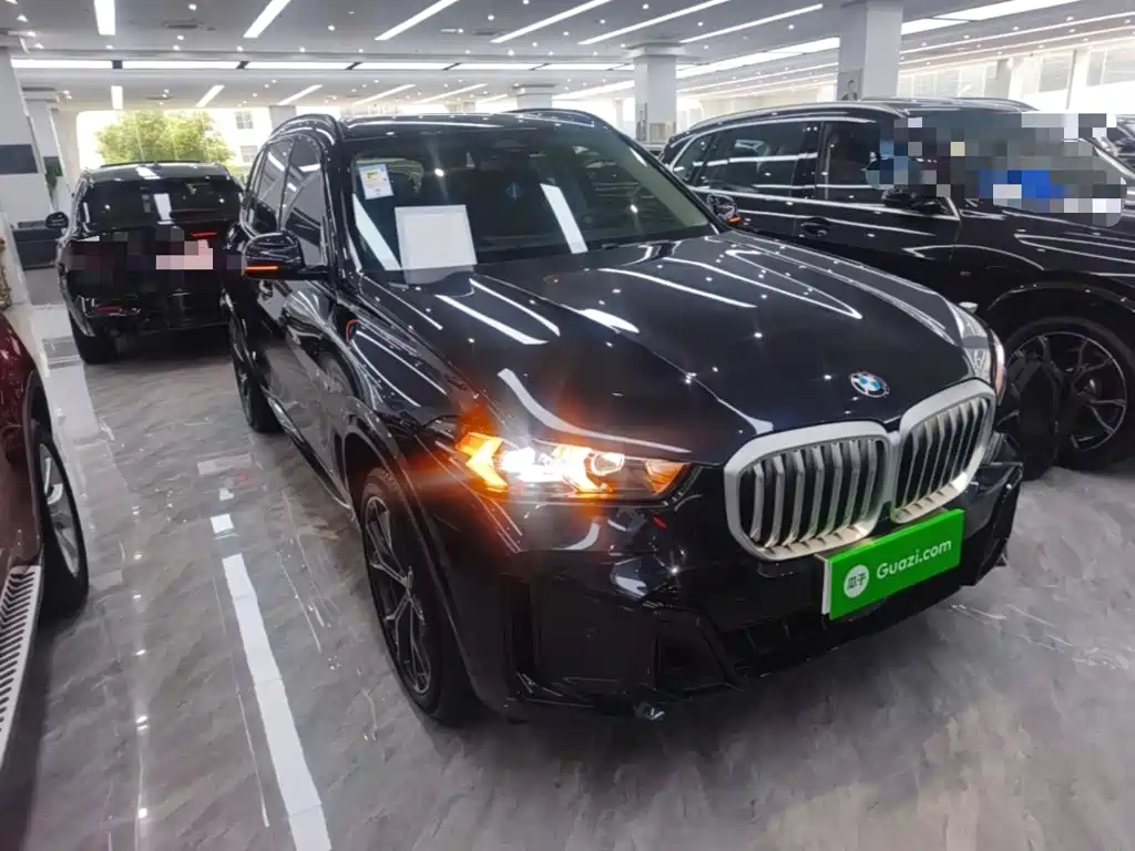 BMW X5 — миниатюра 4
