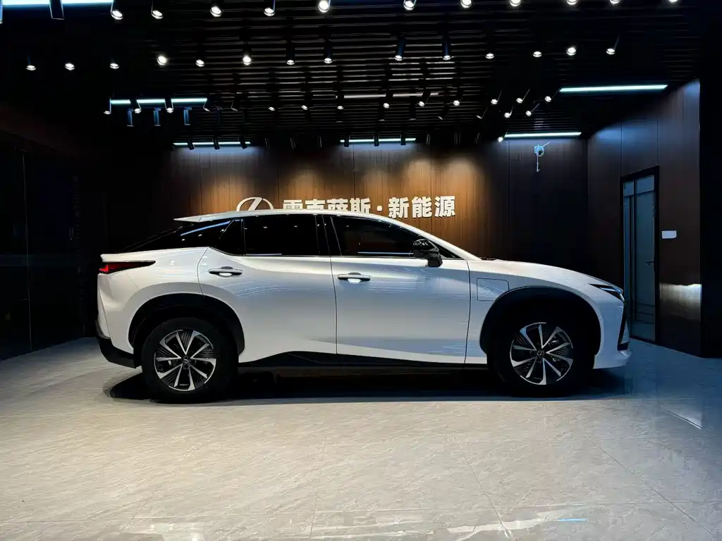 Lexus RZ — миниатюра 2