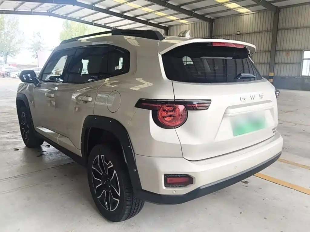 Haval Big Dog PLUS New Energy — миниатюра 5