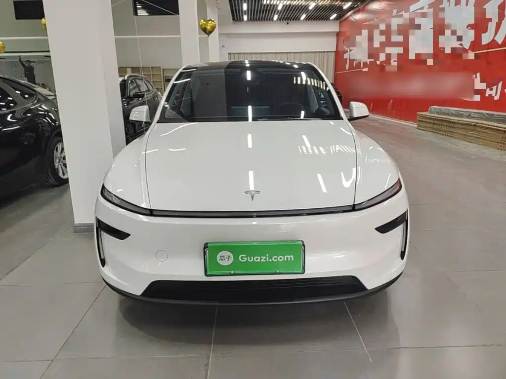 Tesla Model Y — миниатюра 3
