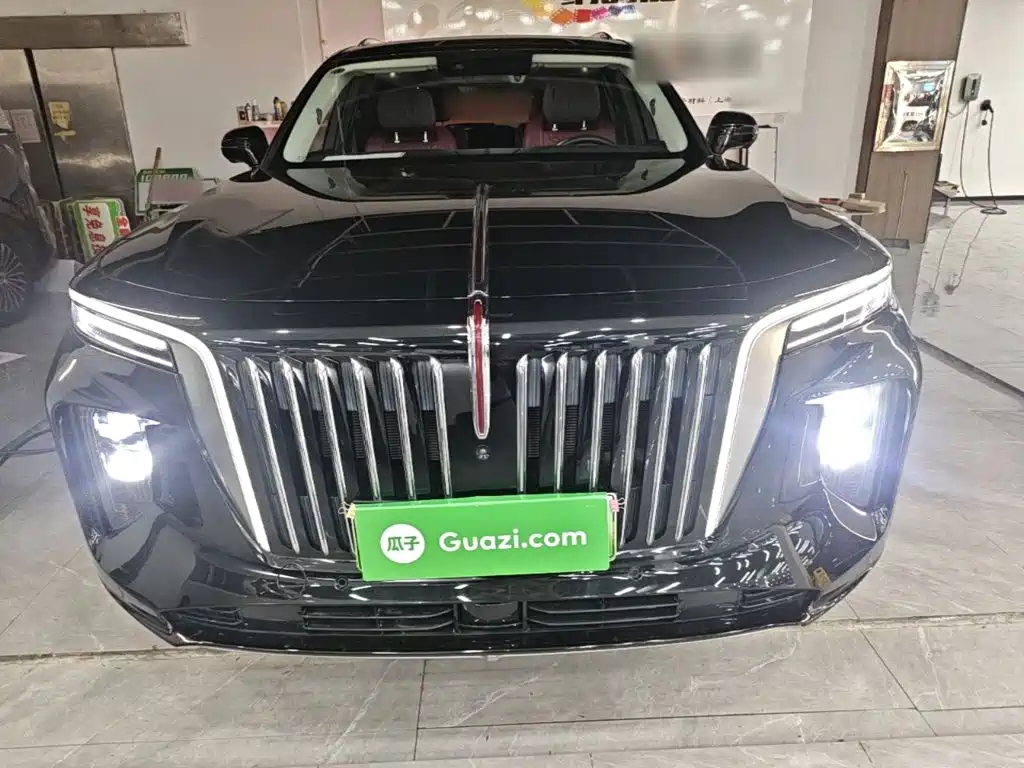 Hongqi Hongqi E-HS9 — миниатюра 3