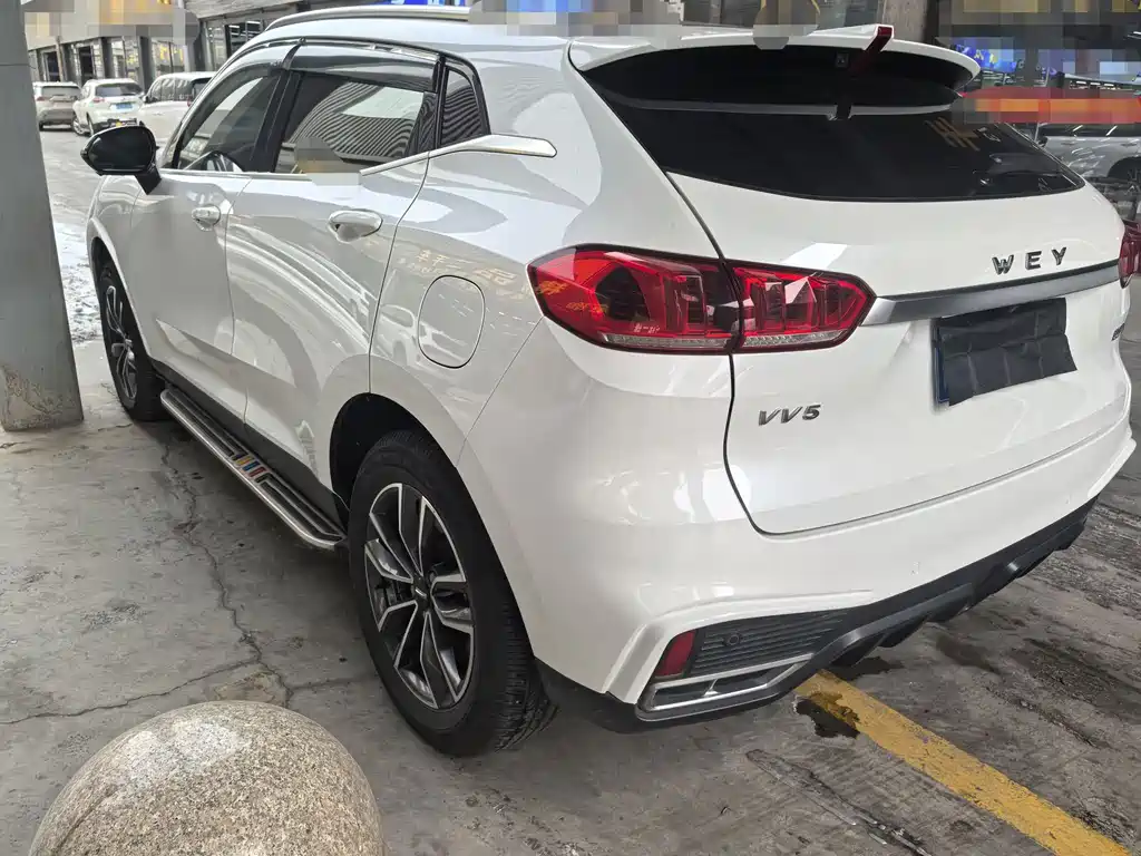 WEI PAI WEI BRAND VV5