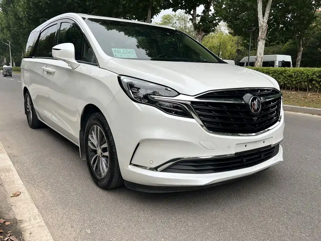 Buick GL8 — миниатюра 3