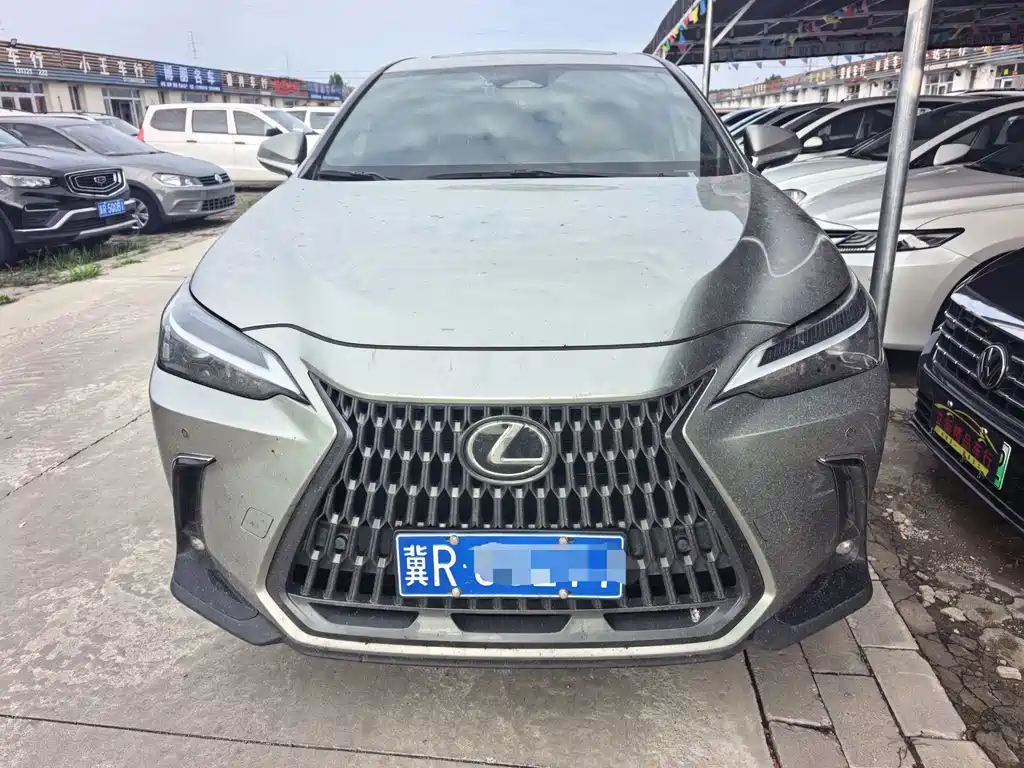 Lexus NX 2023 260
