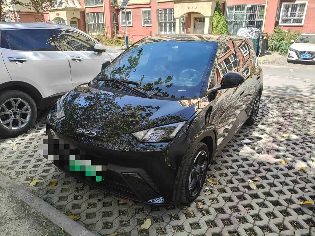 BYD Seagull