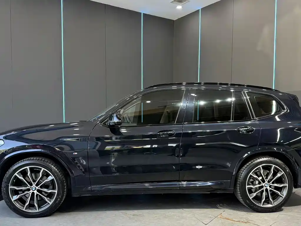 BMW X3 — миниатюра 5