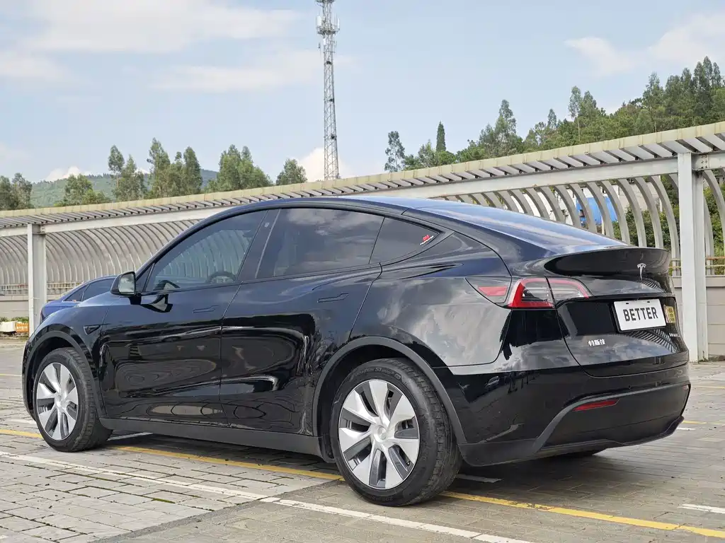 Tesla Model Y — миниатюра 4