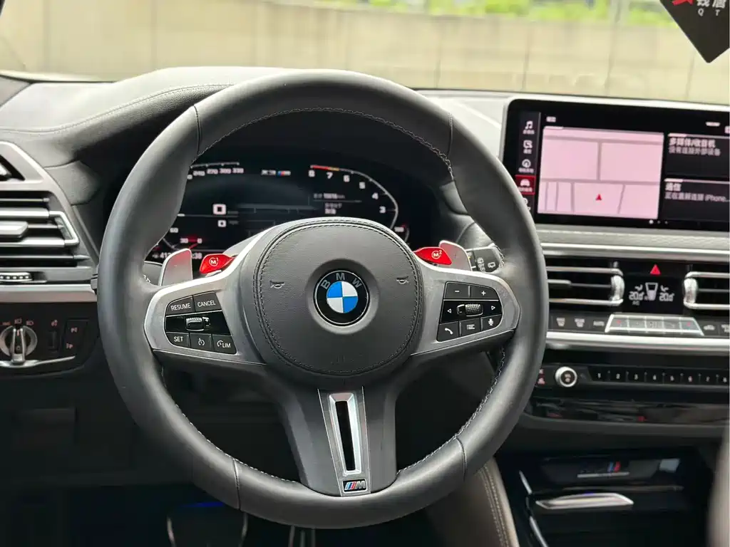 BMW X3 M X3 M Thunder Edition, фото 11