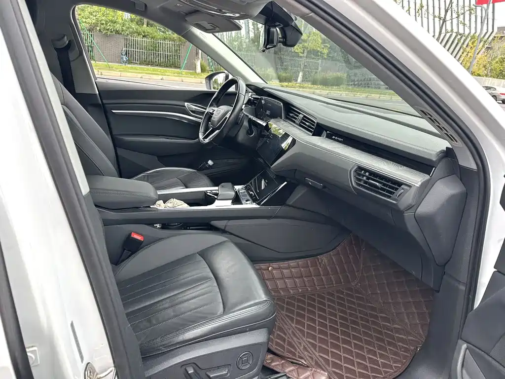 Audi e-tron (Import) — миниатюра 8