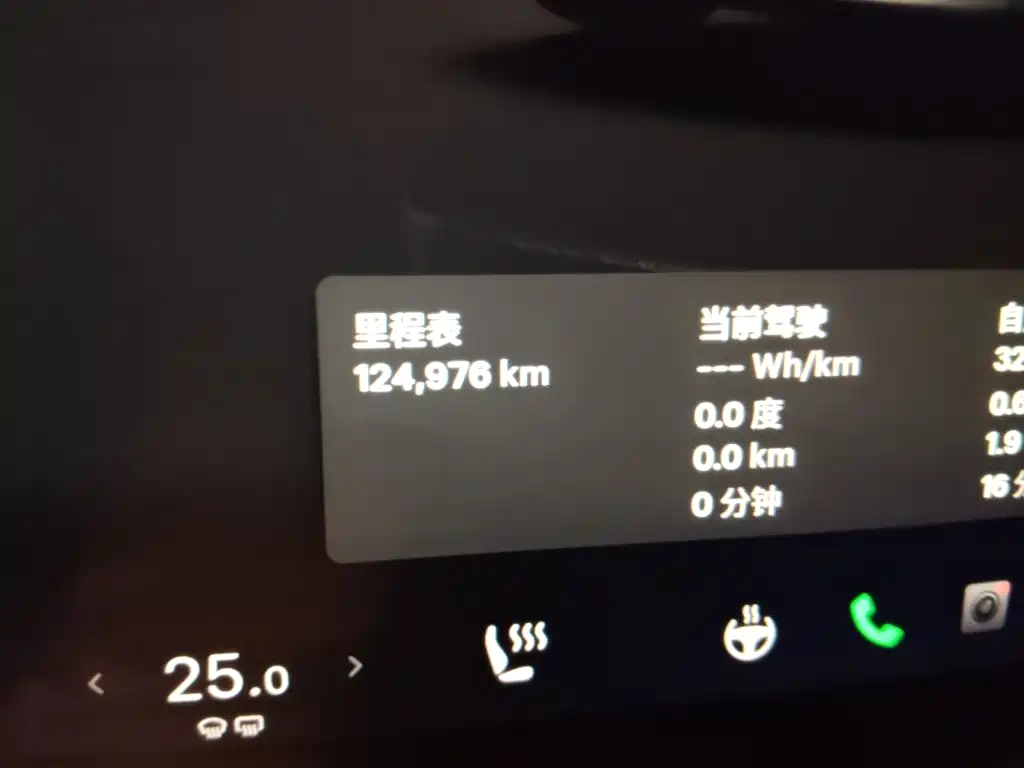 Tesla Model Y — миниатюра 5