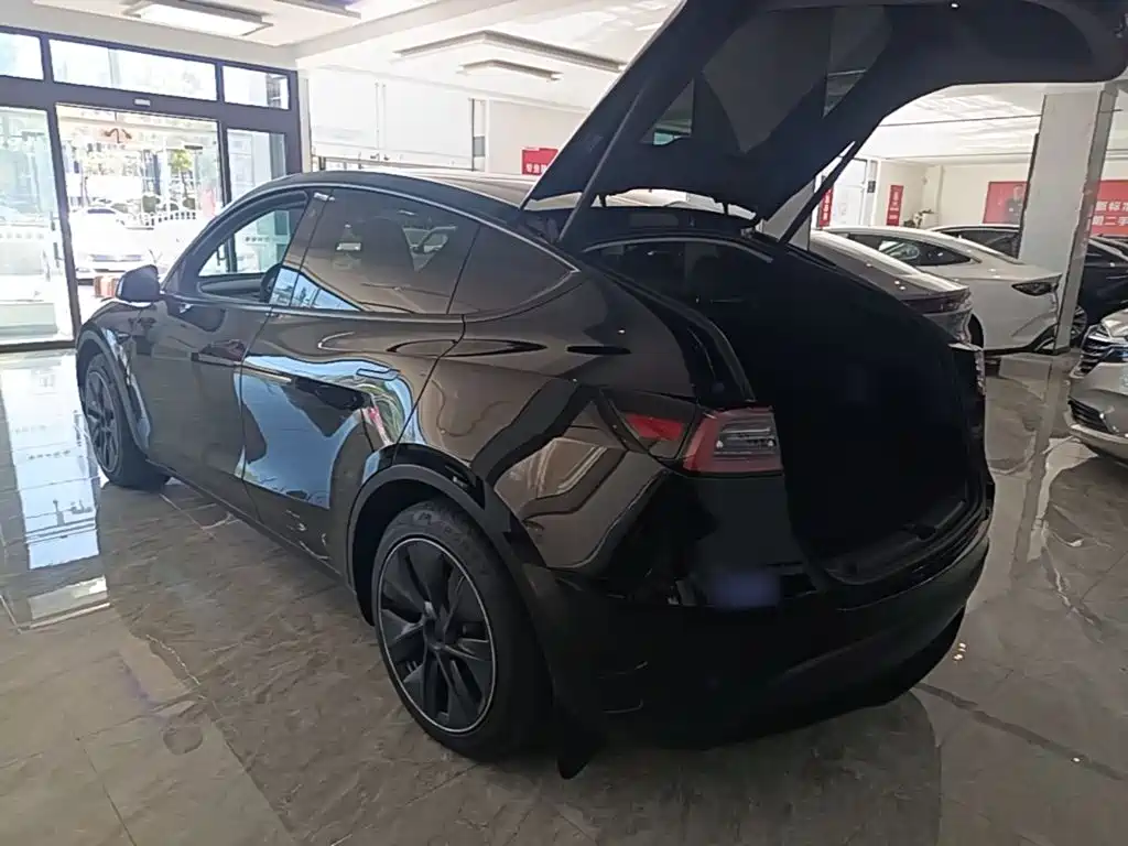 Tesla Model Y — миниатюра 5