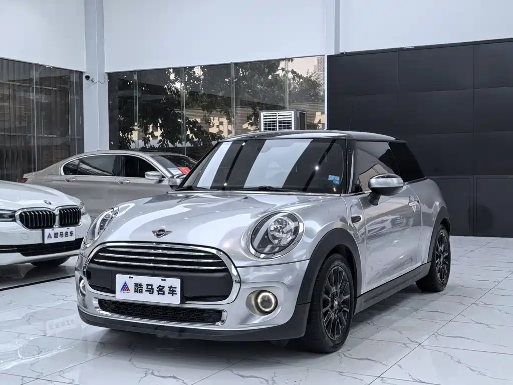 Mini Mini 2020