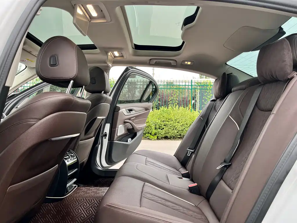 BMW 5 Series 5 2021 530Li Lead Luxury