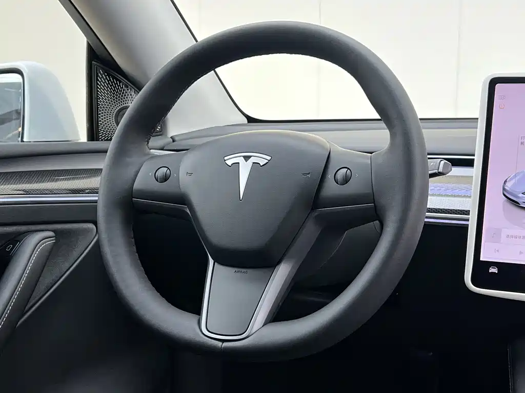 Tesla Model Y — миниатюра 17