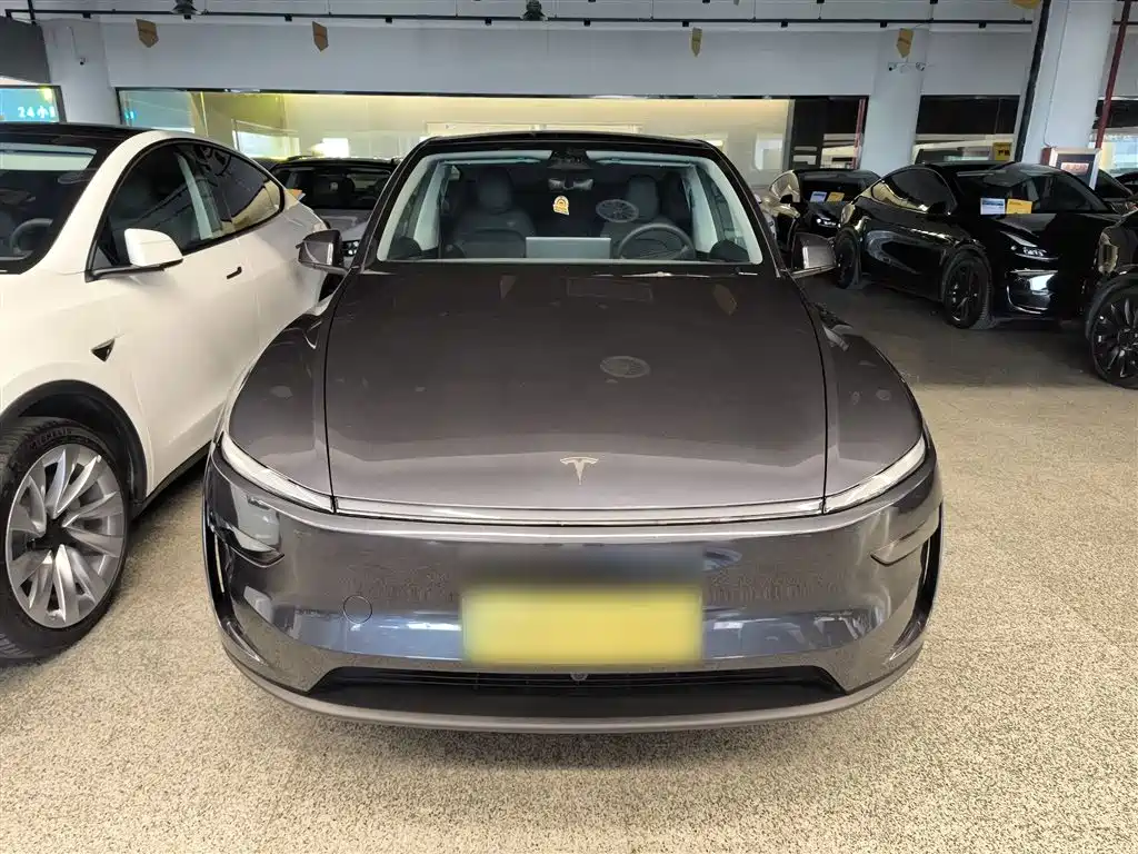 Tesla Model Y - фото 3