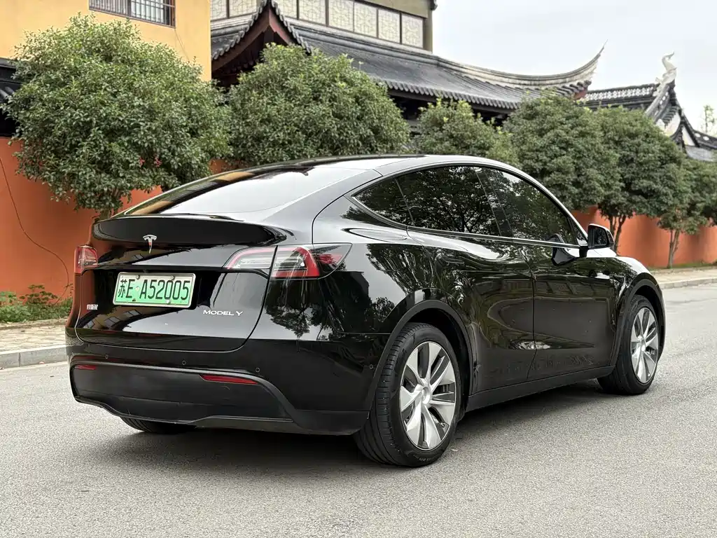 Tesla Model Y — миниатюра 7