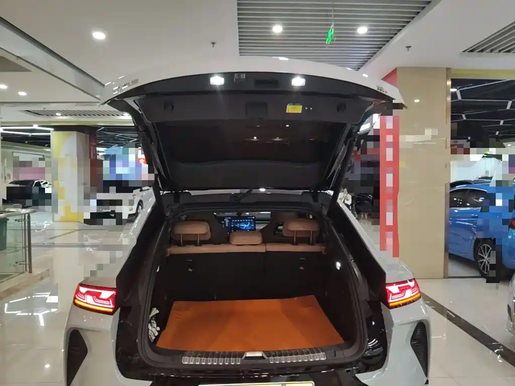 BYD L EV — миниатюра 19