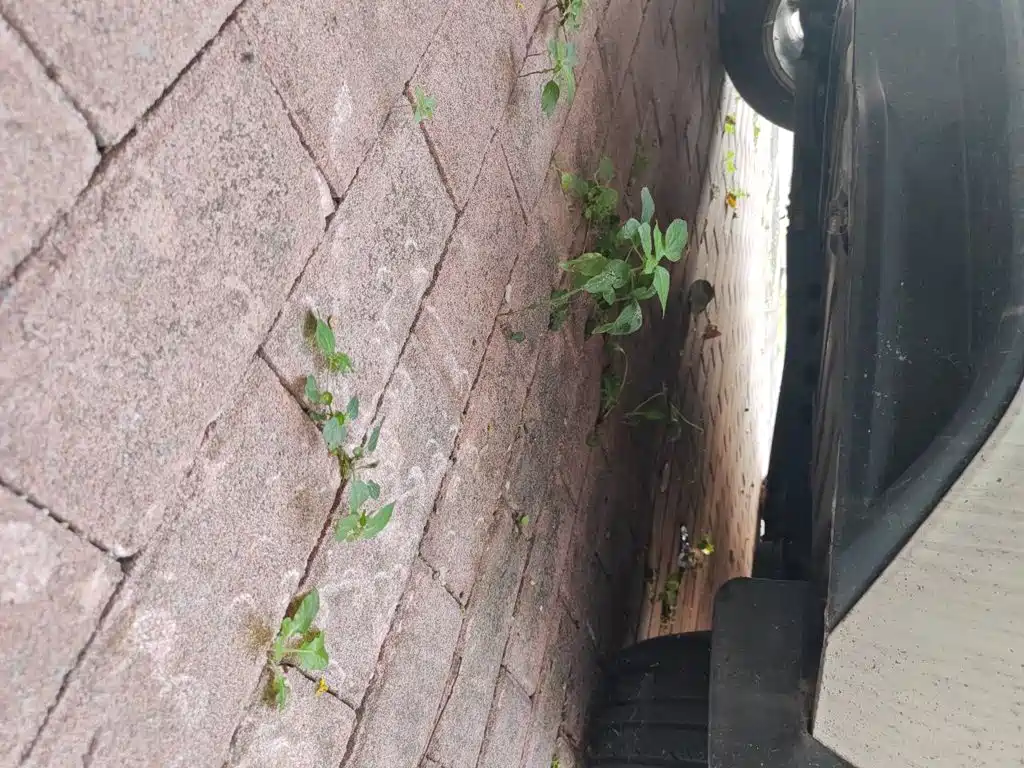 Volkswagen Polo — миниатюра 17