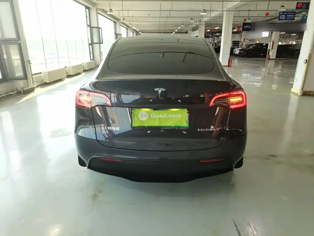 Tesla Model Y — миниатюра 6