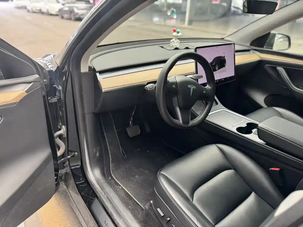 Tesla Model Y — миниатюра 4