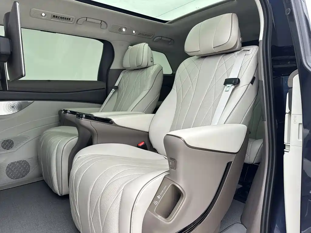 Denza Denza D9 — миниатюра 16