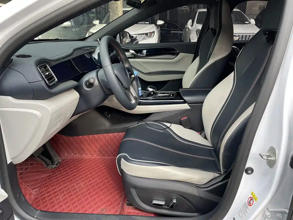 BYD Qin PLUS — миниатюра 6