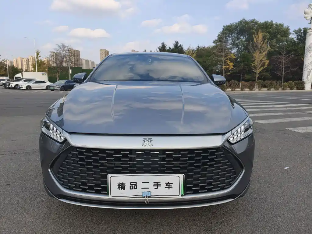 BYD Qin Plus 2023 — фото 2