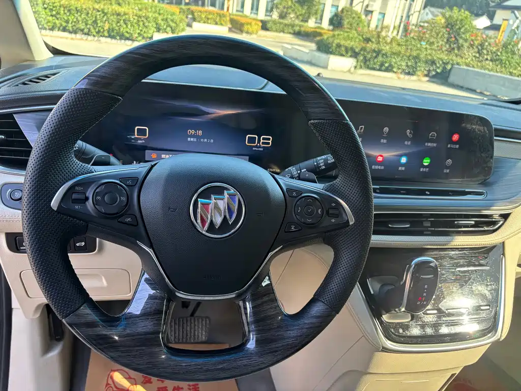 Buick GL8 — миниатюра 17