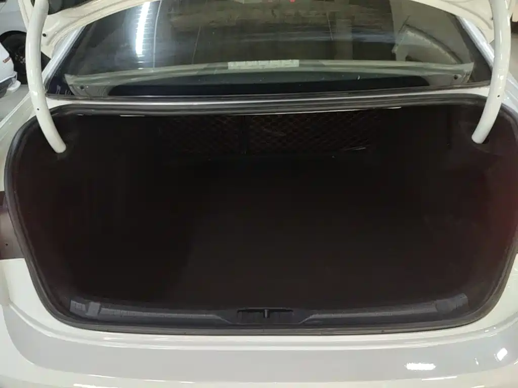 Volkswagen Lamando — миниатюра 19