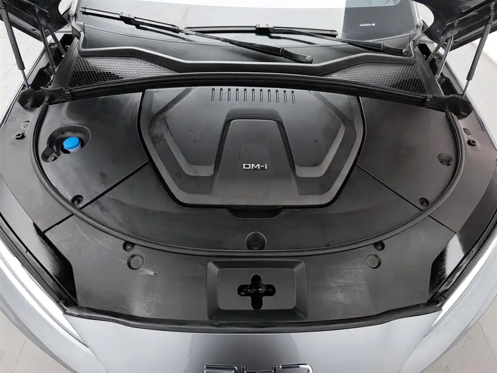 BYD SONGJIANG NEW ENERGY