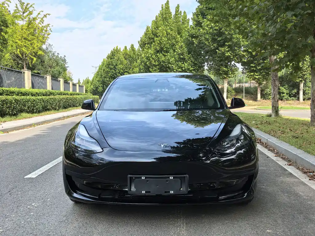 Tesla Model 3 — миниатюра 2