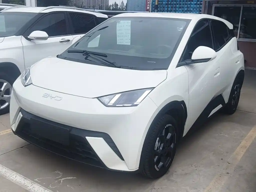 BYD Seagull