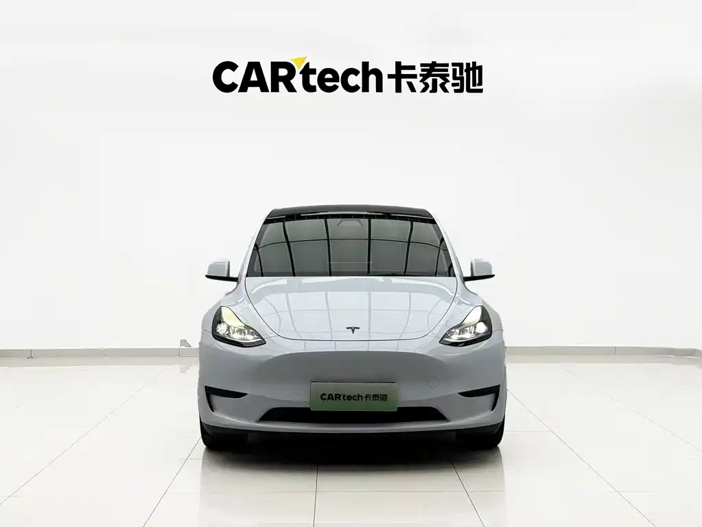 Tesla Model Y — миниатюра 2