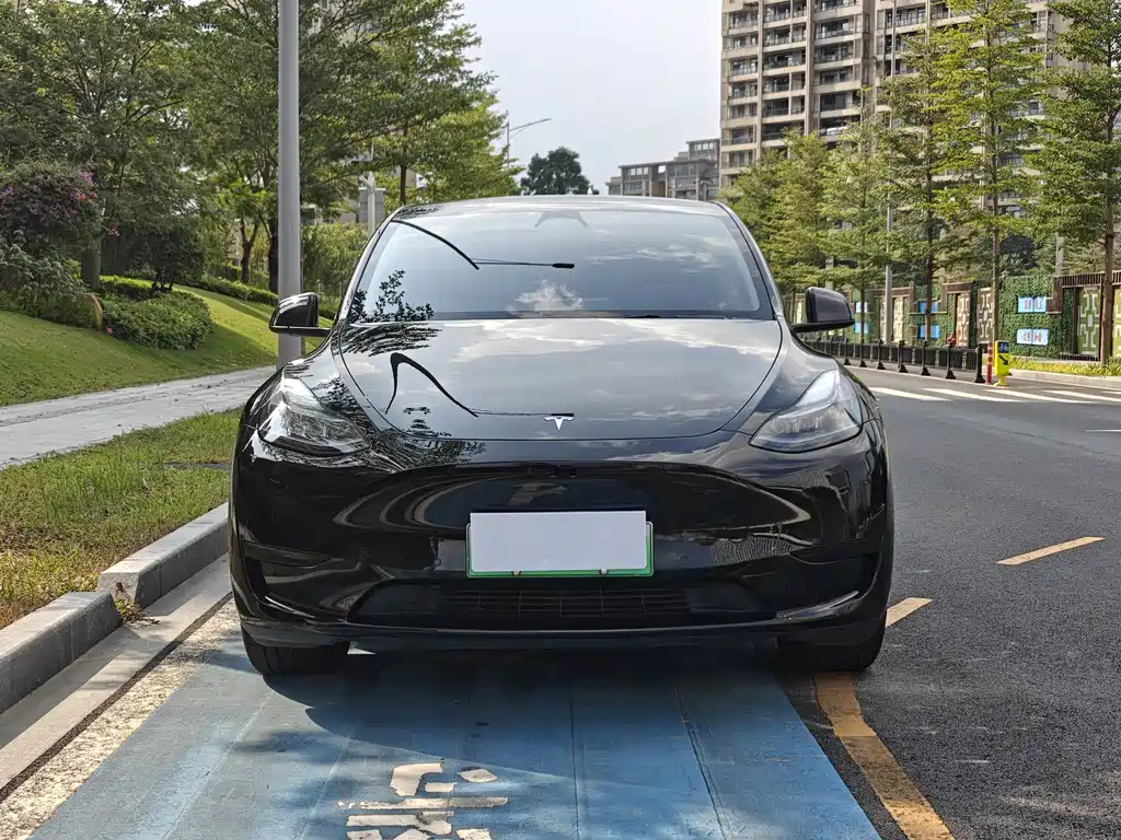 Tesla Model Y — миниатюра 2