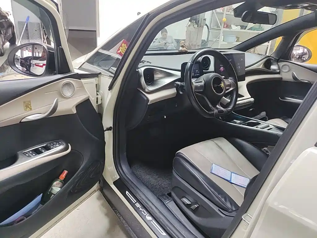 BYD Dolphin — миниатюра 15