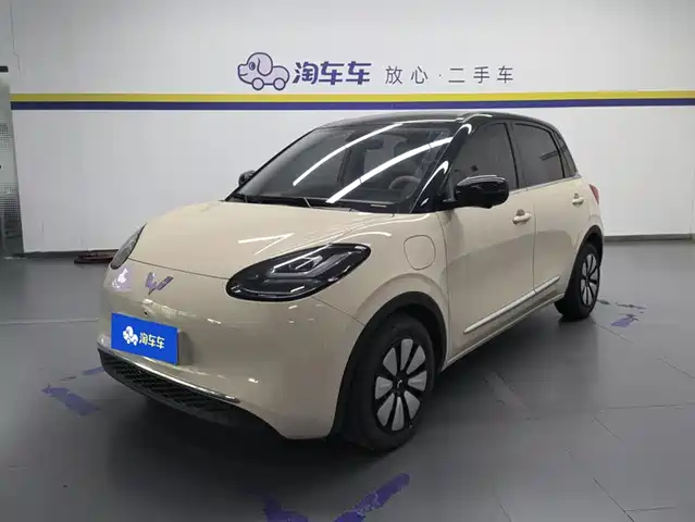 2025 Wuling Motors Binguo
