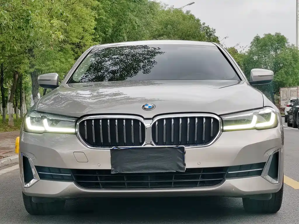 BMW 5 Series 5 2022 530Li Lead Luxury