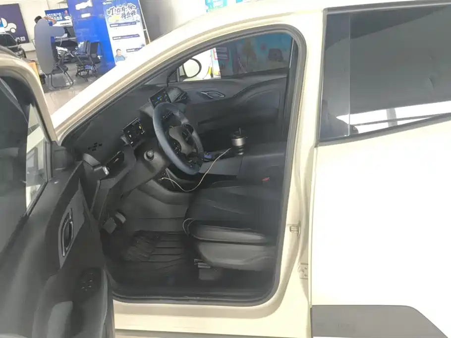 BYD Seagull 2024 305km Freedom