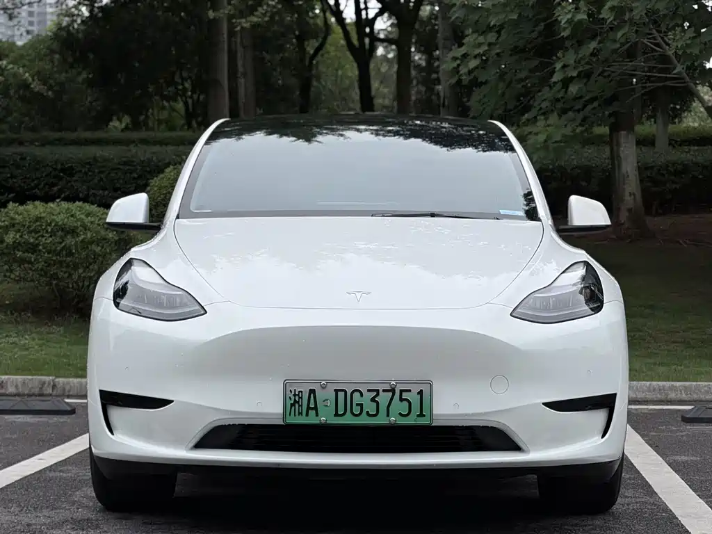 Tesla Model Y — миниатюра 2