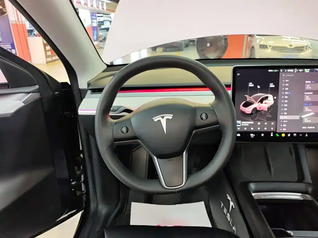 Tesla Model Y — миниатюра 11