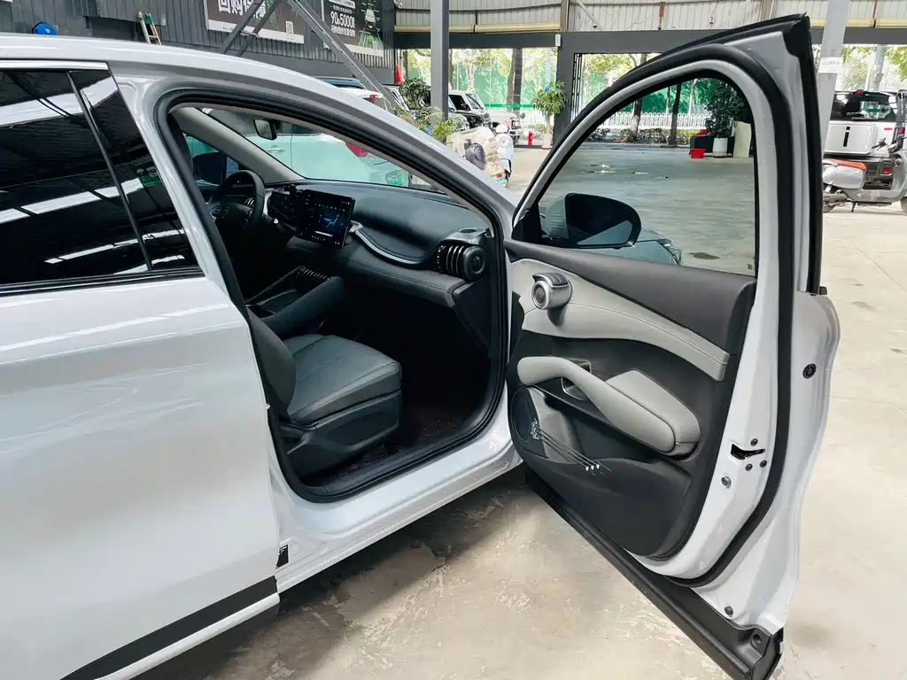 BYD Yuan Plus — миниатюра 18