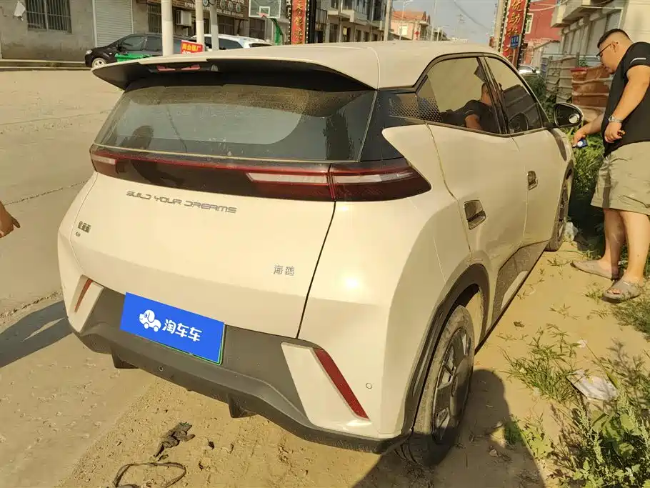 BYD Seagull 2024 305km