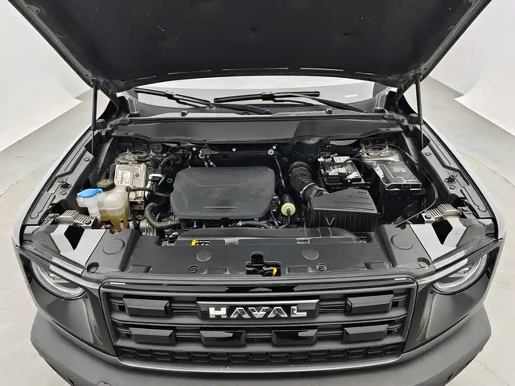 Haval 长城大狗 — миниатюра 12