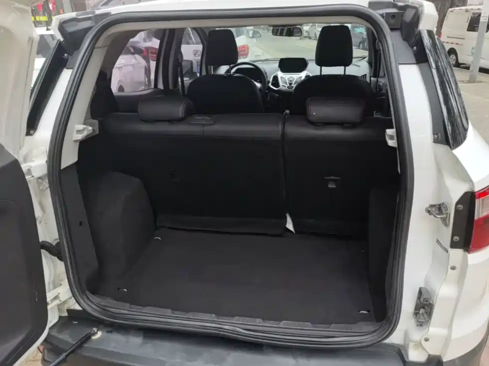 Ford Ecosport — миниатюра 19