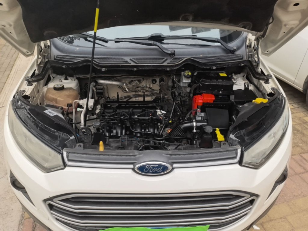 Ford Ecosport — миниатюра 20