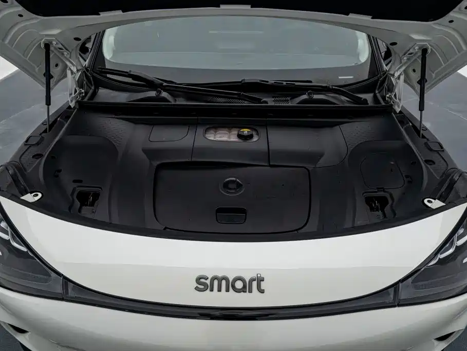 smart Smart #1 — миниатюра 19